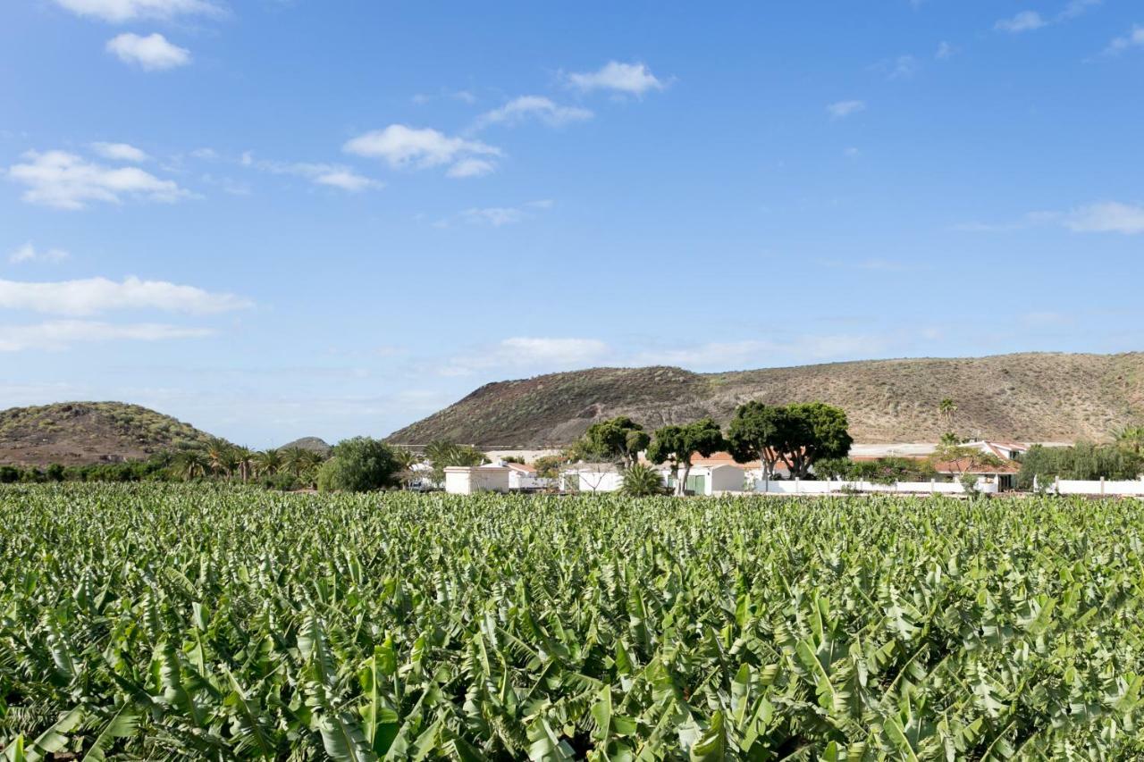 Casita 1, Caserio De Guaza Palm-mar Εξωτερικό φωτογραφία