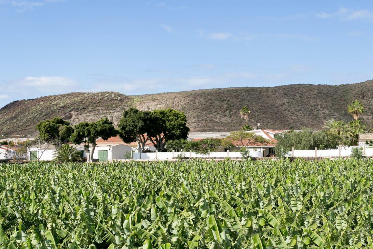 Casita 1, Caserio De Guaza Palm-mar Εξωτερικό φωτογραφία