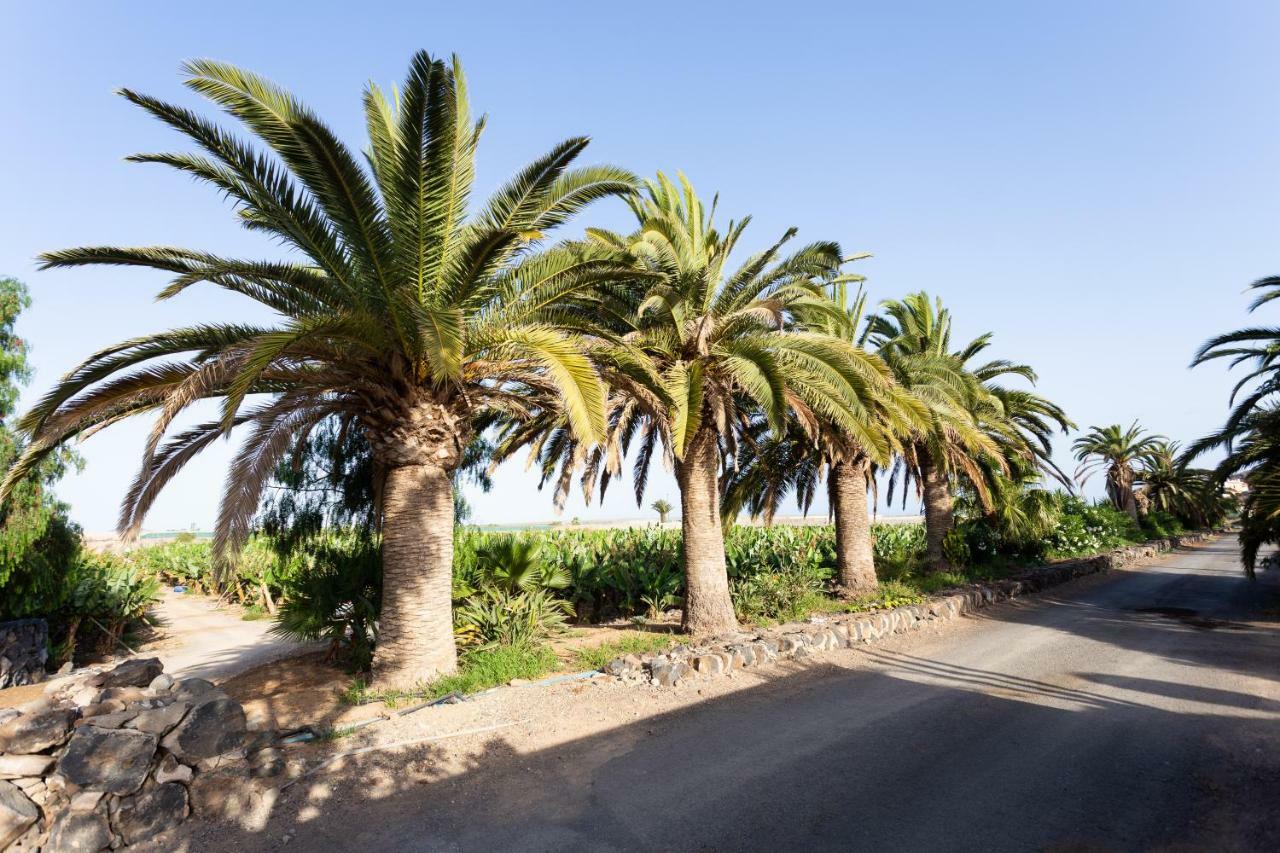 Casita 1, Caserio De Guaza Palm-mar Εξωτερικό φωτογραφία
